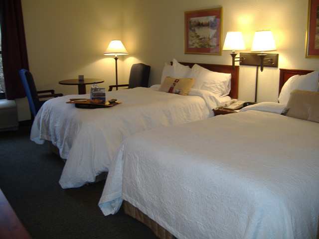 Wyndham Garden Greenville / Spartanburg Airport Bilik gambar